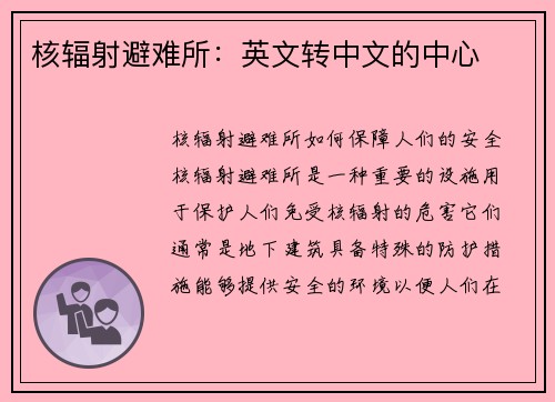 核辐射避难所：英文转中文的中心